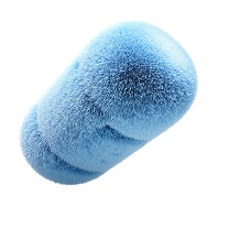 Bacillus Coagulans