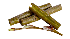 Willow bark